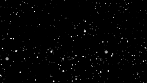 300_169gif 动态图 动图