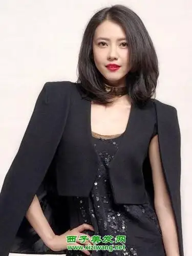 气质美女高圆圆中长发发型图片