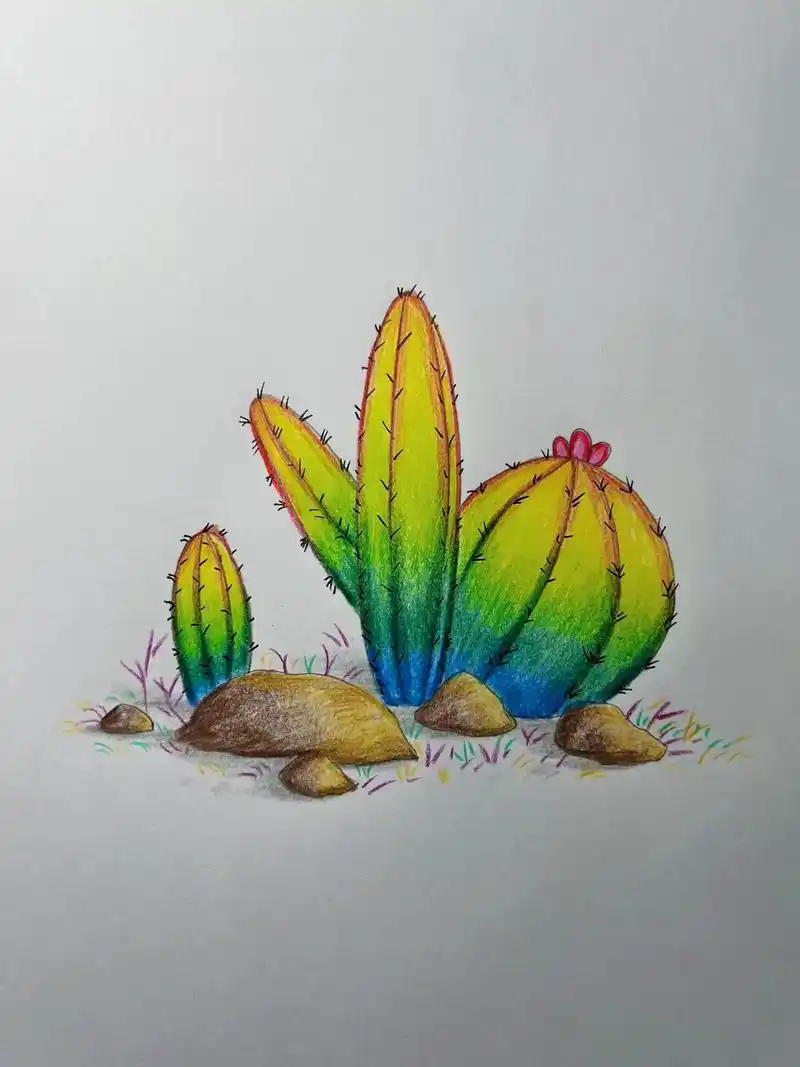 儿童彩铅画仙人掌家族来咯