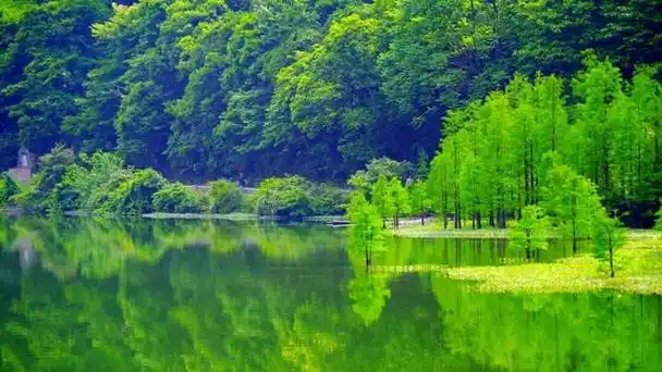 而恰恰是那些被誉为"绿水青山"的自然美景,给我们带来的内心愉悦与