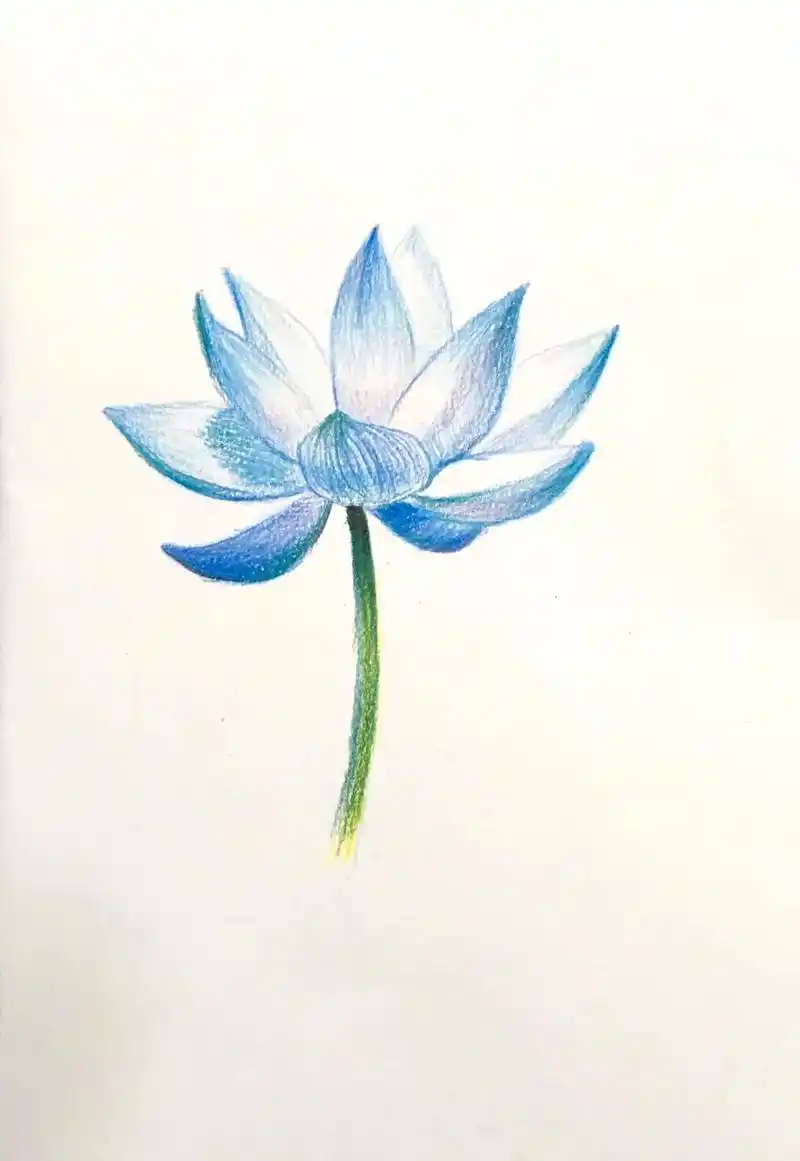 很认真的教大家用彩铅画荷花.步骤图在上,有手就行,真真的!# - 抖音