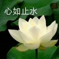 心如止水表情包图片_微信头像图片大全