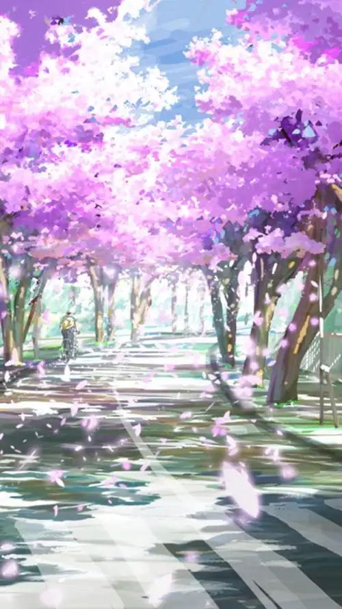 场景插画壁纸樱花