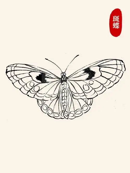 国画入门|03蝴蝶白描/线描合集97超全6015