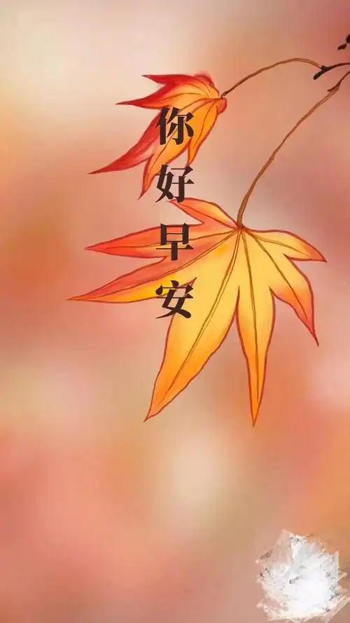 简短早安高雅早上好唯美图片