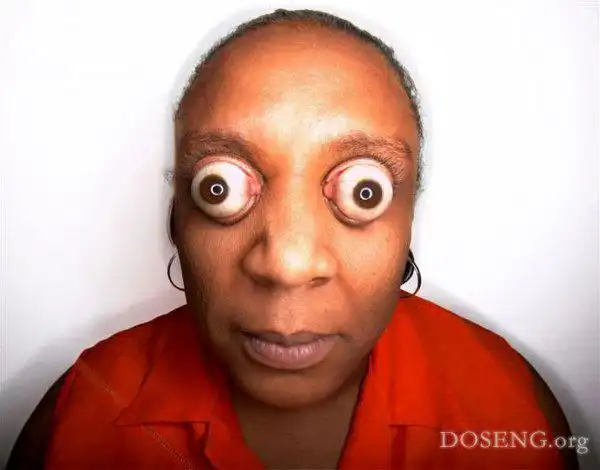 图片来源于2008年纪录的吉尼斯bashnynet