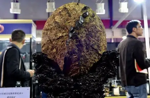 最大的琥珀,天然琥珀多少钱一克