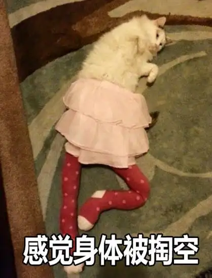 感觉身体被掏空 - 大长腿性感小野猫表情包_小野猫_喵星人_大长腿