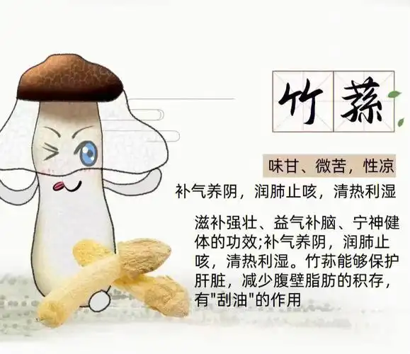 清爽的菌子(竹荪)怎么能少得了,赶紧安排上吧,竹荪具有润肺止咳的功效