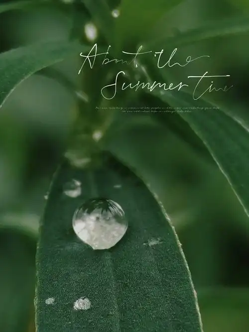 墨绿色 - sodoli - 图虫