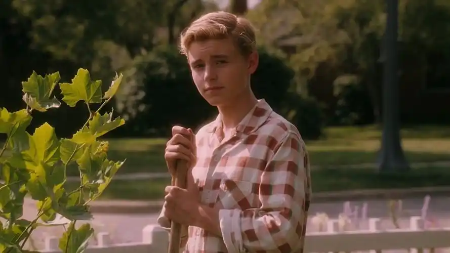 怦然心动 电影 自截 - 堆糖,美图壁纸兴趣社区