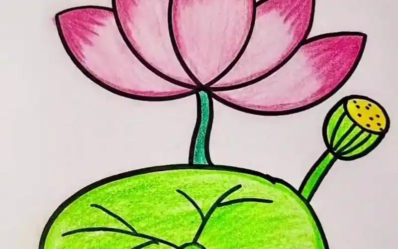 简笔画荷花的画法