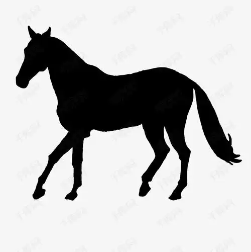 一匹马的剪影