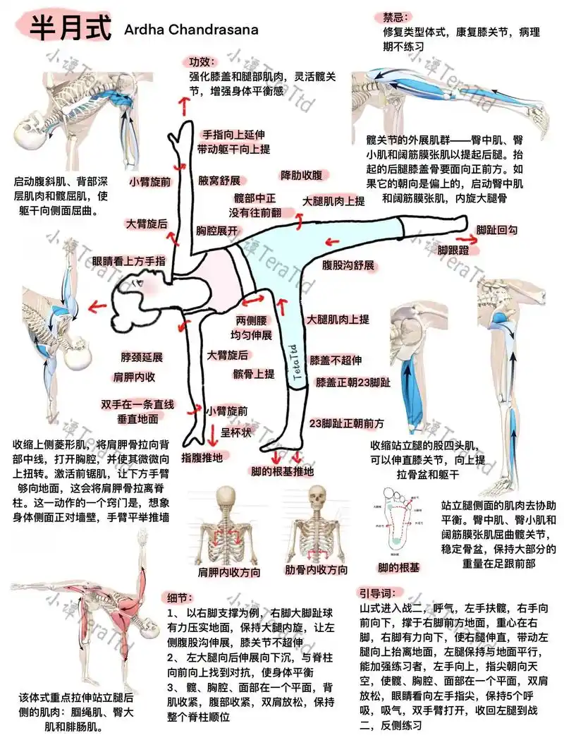 瑜伽教培笔记|半月式口令,矫正细节|收藏.
