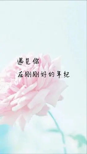 爱情文字背景图女唯美