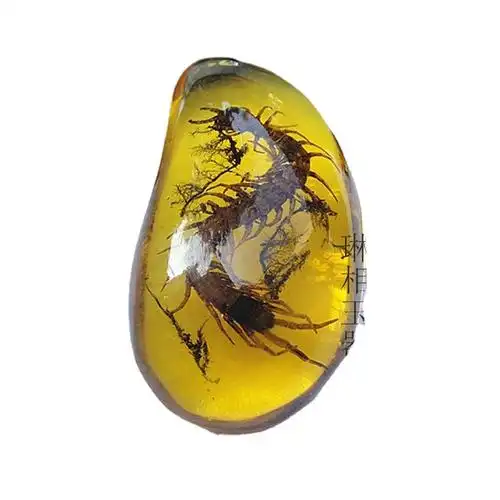 昆虫琥珀水晶