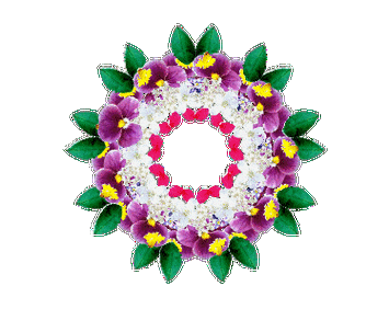 374_297gif 动态图 动图