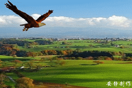 450_300gif 动态图 动图