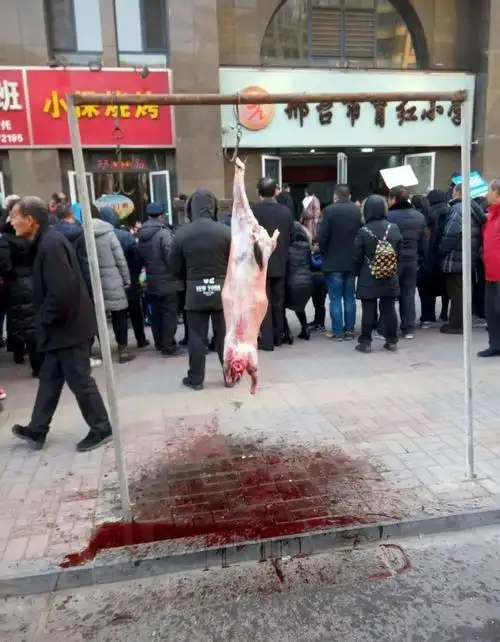 邢台育红小学门口当街屠宰家长反映太血腥