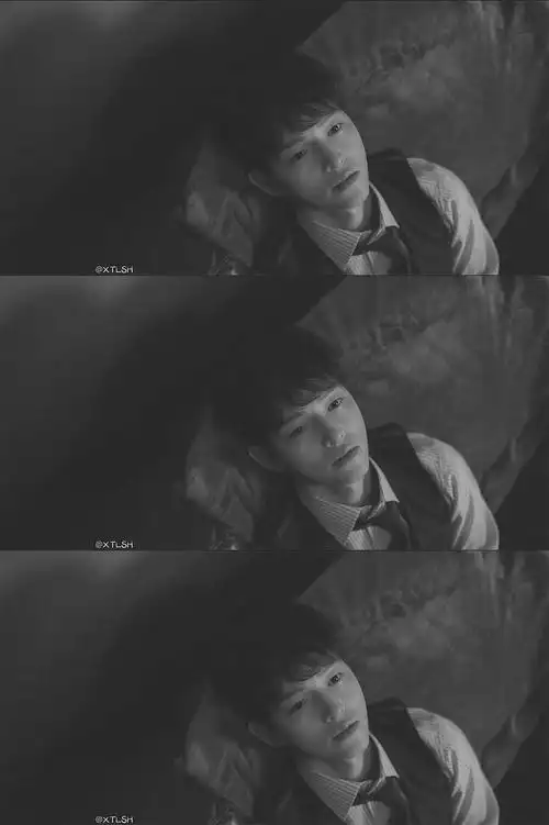 宋仲基文森佐截修