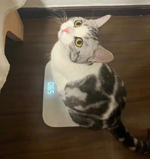 每天为我家小胖子体重而苦恼71