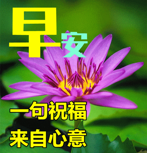 12月9日冬日早上好动态表情图片及早晨好动图美图大全 别以为是色情