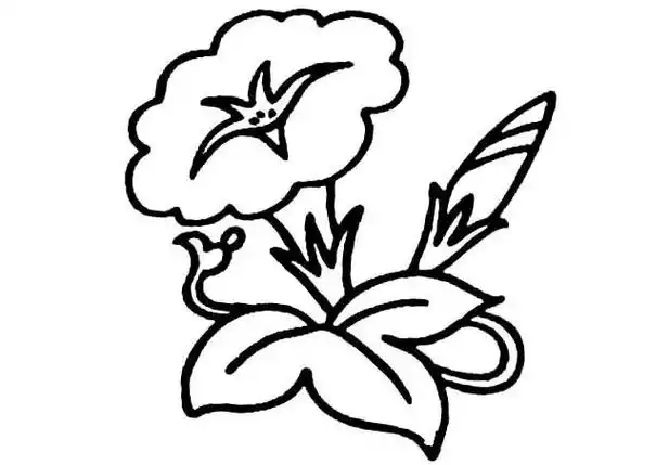 牵牛花简笔画花牵牛花植物花简笔画步骤图片大全四
