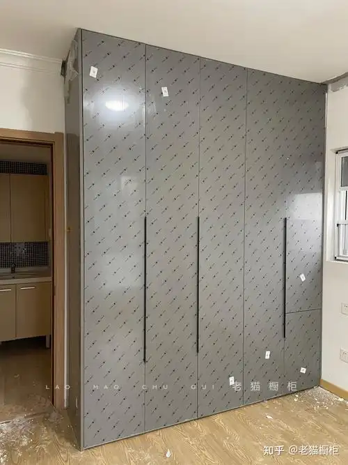 韩国现代pet衣柜定制|极简