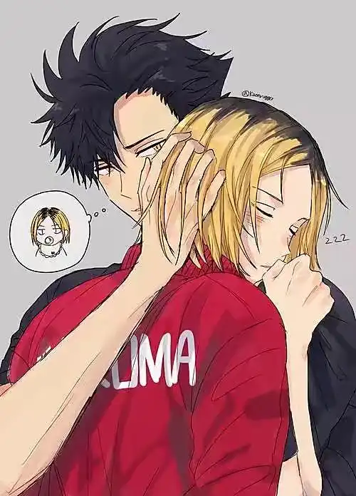 cp介绍-(排球少年)那些年的事-话本小说网