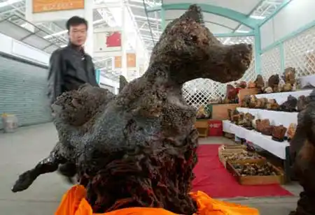 价值380多万绿玛瑙王亮相广州奇石根雕展(组图)