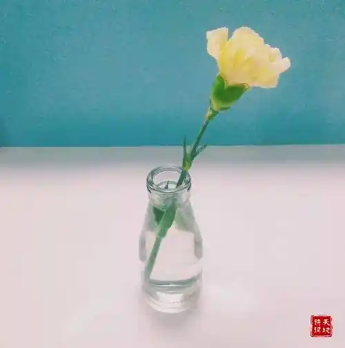 拥有一颗乐观向上善良的心,那么生活中自有清风明月,诗情画意了.