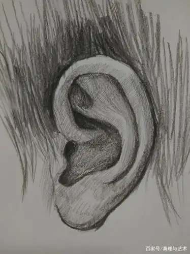画耳朵,我们首先要明白耳朵各部分结构.