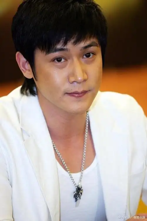 陆毅颜值爆表,却被"帅"所限制,早早隐退