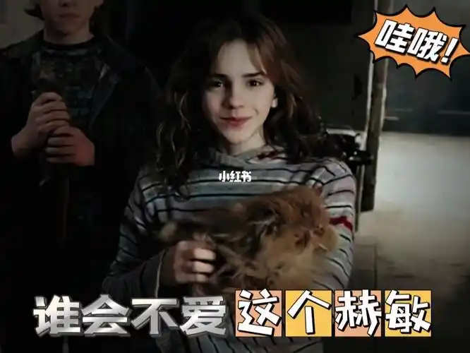 hp送你一个赫敏格兰杰