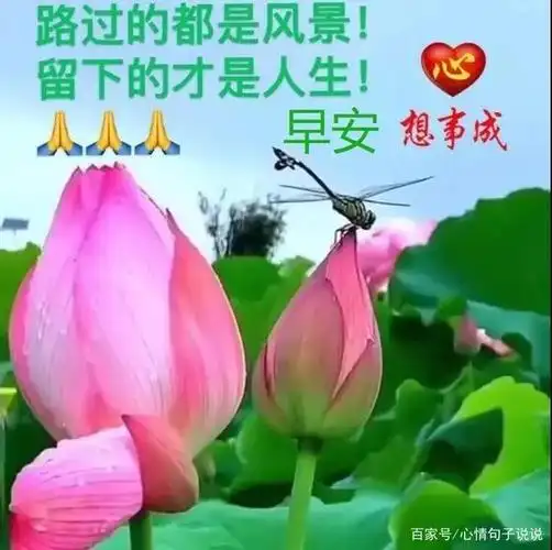 创意春天清晨早上好问候祝福图片精选,唯美春日早安问候图片温馨