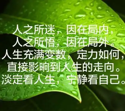 淡定看人生,宁静做自己|看淡|举头三尺有神明_网易订阅