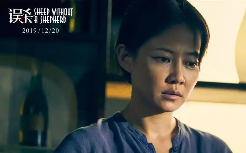 2019年十大电影之一《误杀》最新颖剧照