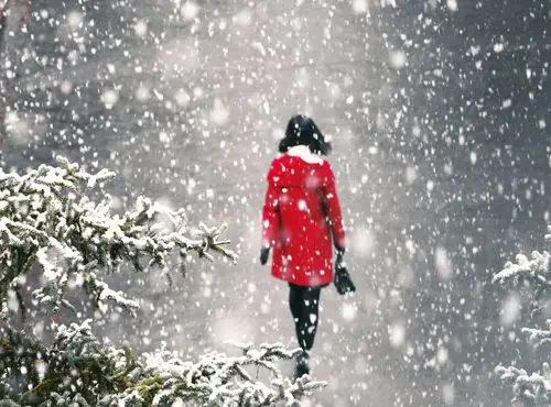 还没有人打赏,快来当第一个打赏的人