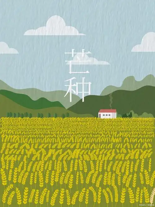 二十四节气之芒种