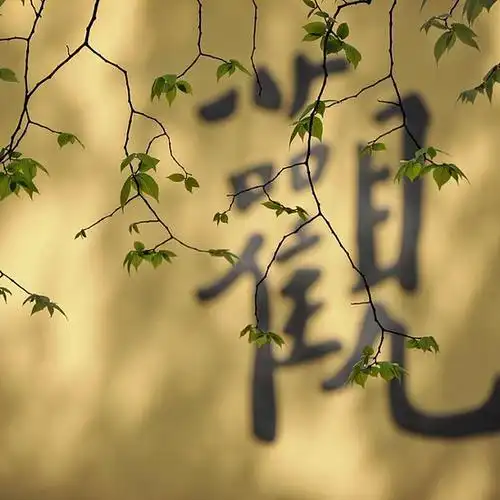 唯美意境风景摄影禅意壁纸爱上微杂志