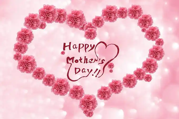 许多康乃馨花围成一个爱心图案图片