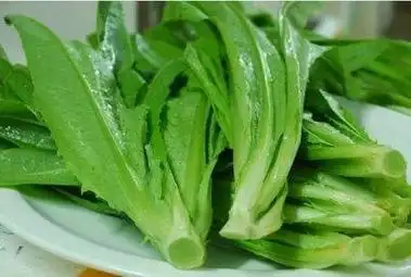 油麦菜是一种非常常见的绿叶蔬菜,因为口感脆嫩,绿色鲜艳,再加上富含