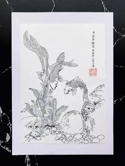 白描053花鸟鱼虫临摹带形草鲤鱼