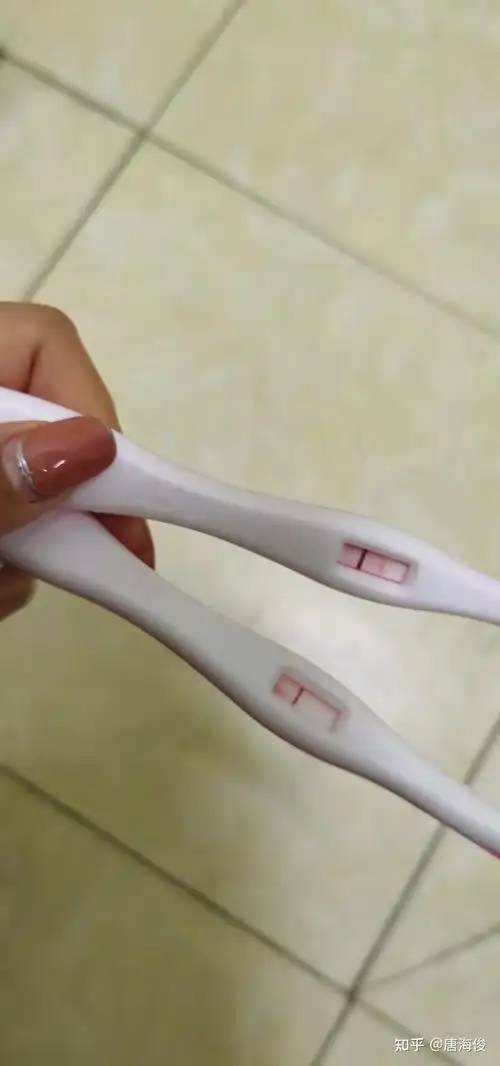 验孕棒 - 知乎
