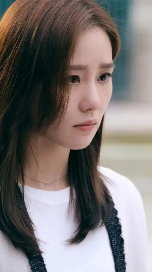 流金岁月 蒋南孙 刘诗诗