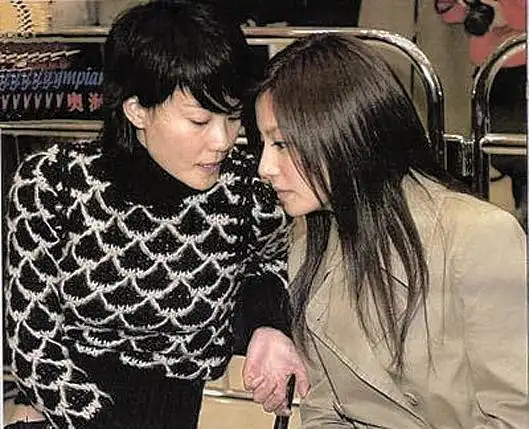 赵薇避谈锋菲复合或系对王菲的保护图