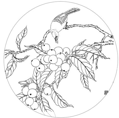 工笔国画底稿画眉枇杷白描打印稿毛笔勾笔勾宣纸国画