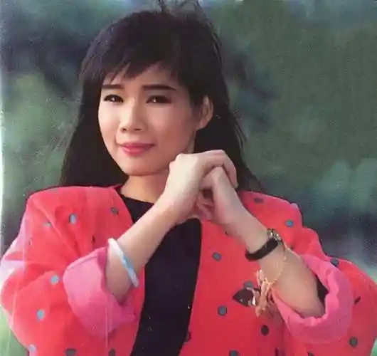 凭粉红色的回忆爆红28岁嫁给粉丝韩宝仪为何销声匿迹了
