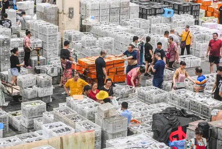 首席记者 龙帆 实习生 杨涵 摄/视觉重庆"当时太多车了,海领市场周边