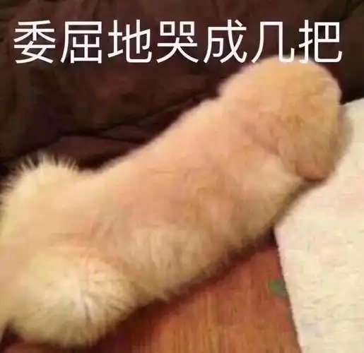 少来这一套,就说跟我搞不搞表情包 - 表情图